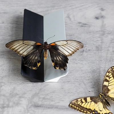 Ручка меб. скоба алюм. ELBRUS 960/1000 алюминий, AKS - фото 7