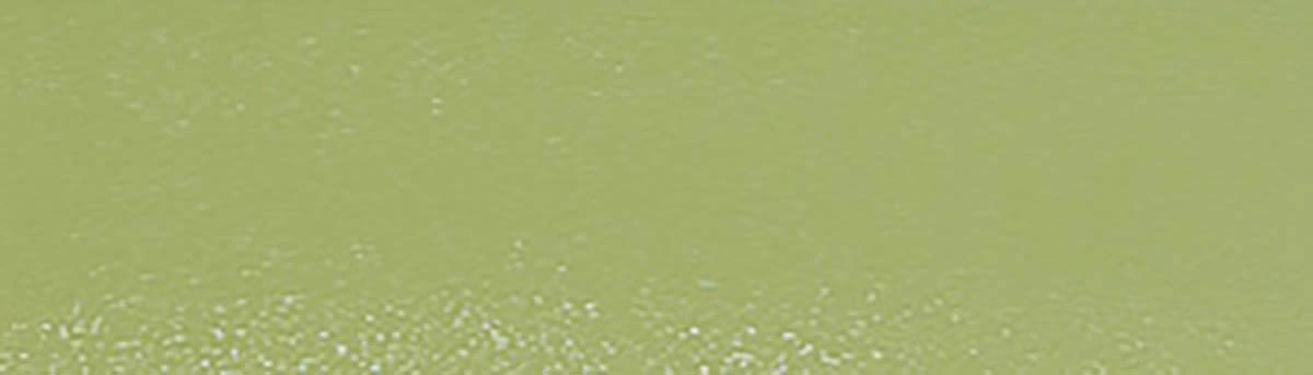 Кромка ПВХ зеленый светлый (7221) 22/2,0мм EL-MECH-PLAST (бух.-0,1пог.км.) - фото 1