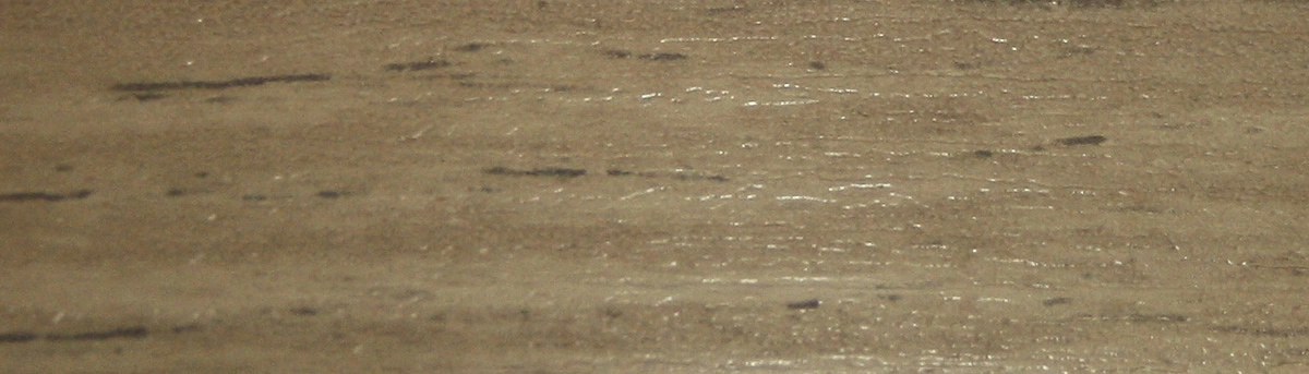 Кромка ПВХ дуб крафт золотой (7313) 22/1,0мм EL-MECH-PLAST (бух.-0,2пог.км.) - фото 1