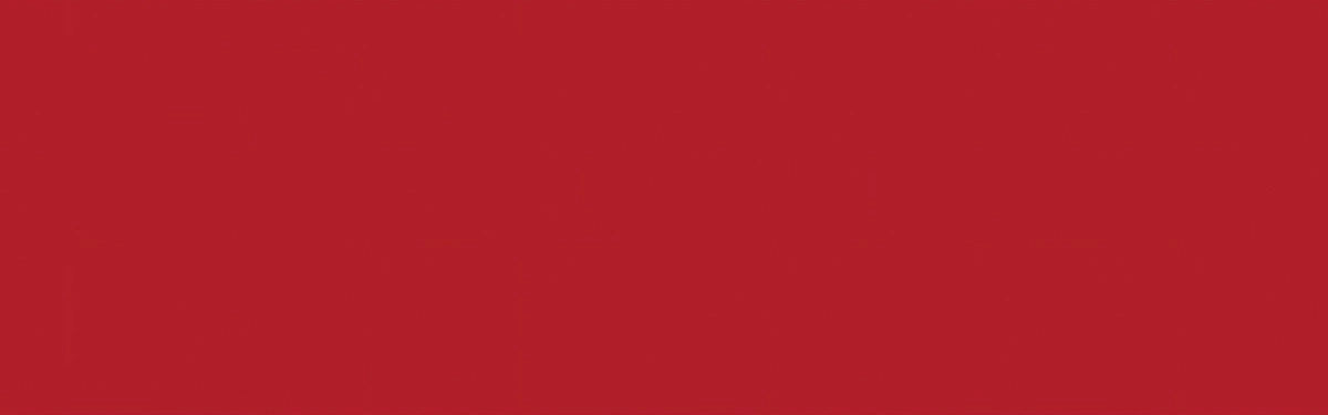 Кромка ПВХ красный китайский (760) 22/1,0мм EL-MECH-PLAST (бух.-0,2пог.км.) - фото 1